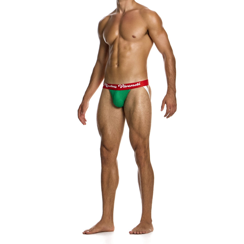 Load image into Gallery viewer, Modus Vivendi Retro Jock Strap Green
