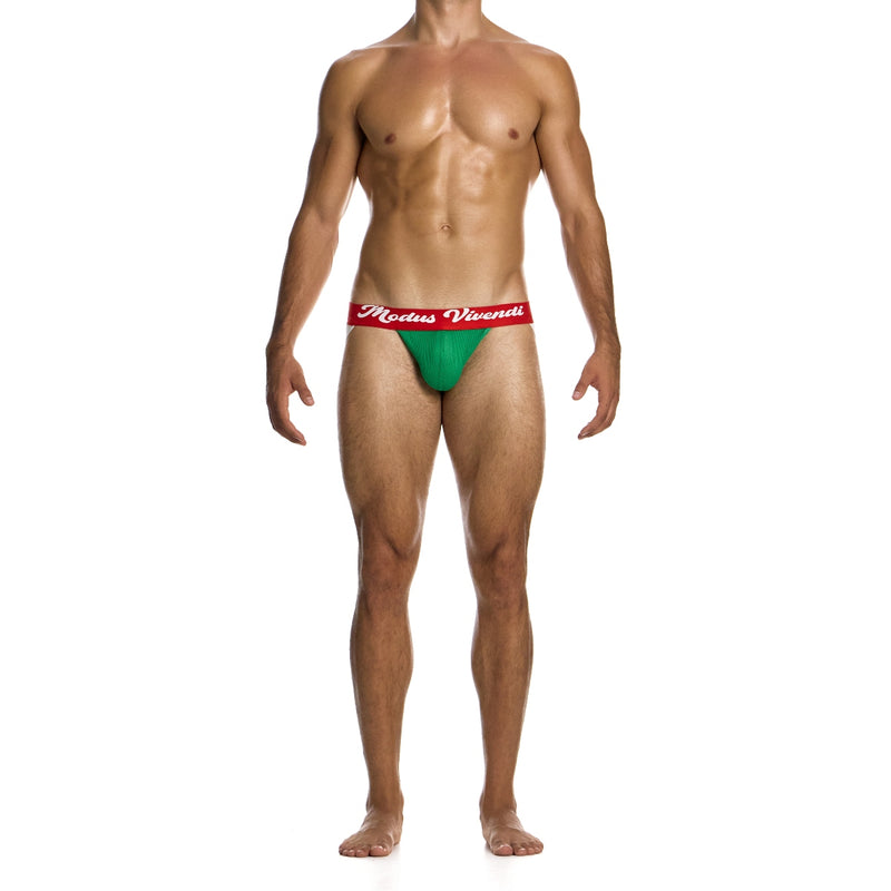 Load image into Gallery viewer, Modus Vivendi Retro Jock Strap Green
