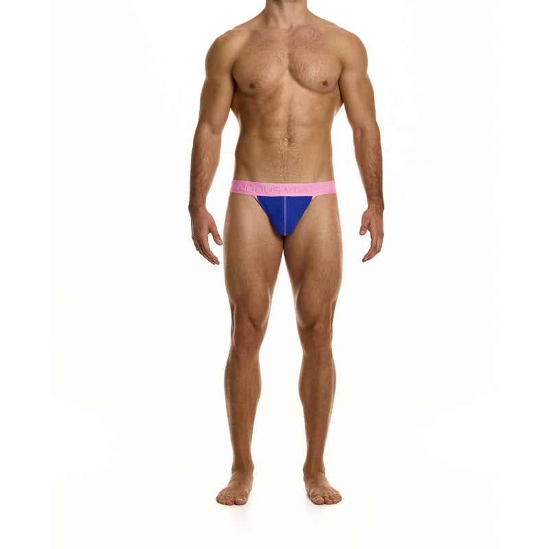 Load image into Gallery viewer, Modus Vivendi Dynamic Jock Strap Blue

