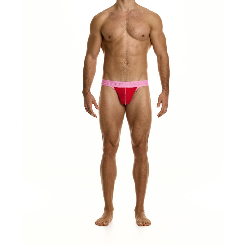 Load image into Gallery viewer, Modus Vivendi Dynamic Jock Strap Red
