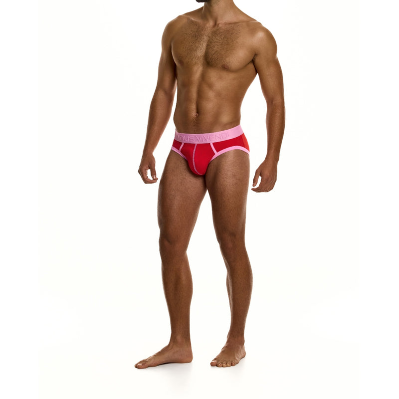 Load image into Gallery viewer, Modus Vivendi Dynamic Classic Brief Red
