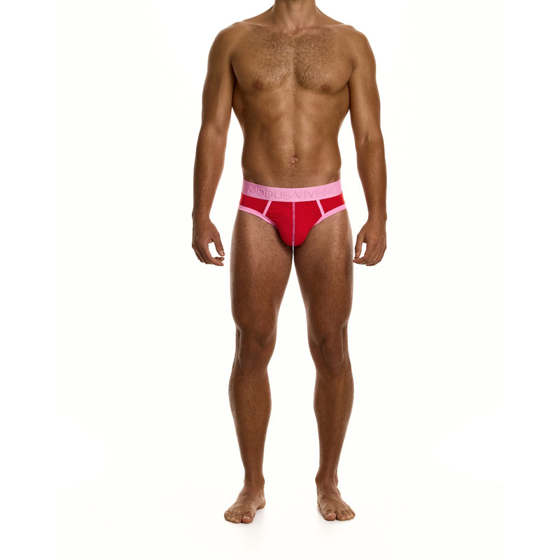 Load image into Gallery viewer, Modus Vivendi Dynamic Classic Brief Red
