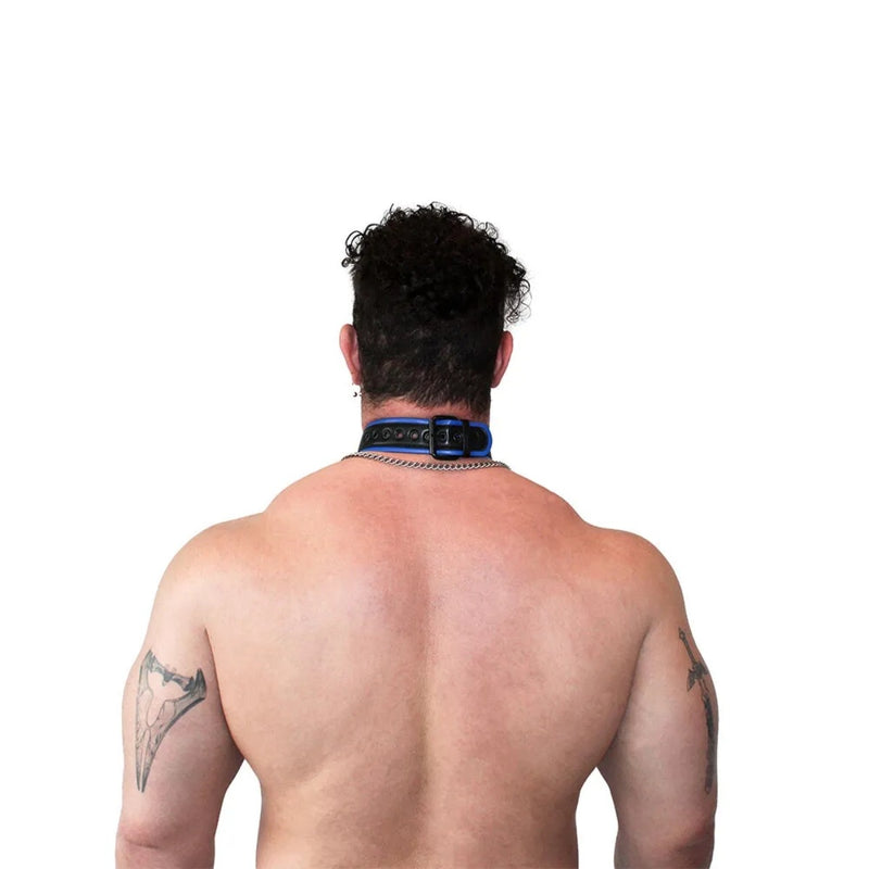 Load image into Gallery viewer, Brutus Vegan Puppy Collar Black Blue
