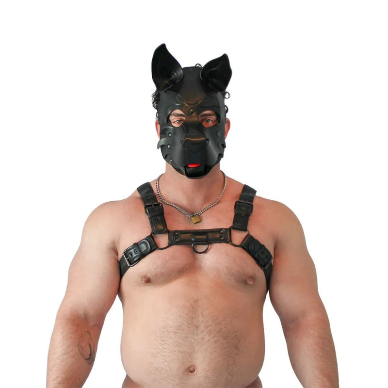 Load image into Gallery viewer, Brutus Vegan Leather Pup Hood Puppy Black 
