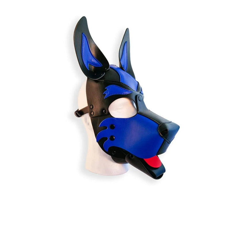 Load image into Gallery viewer, Brutus Pup Hood Vegan Leather Blue &amp; Black
