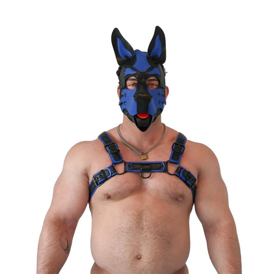Brutus Pup Hood Vegan Leather Blue & Black