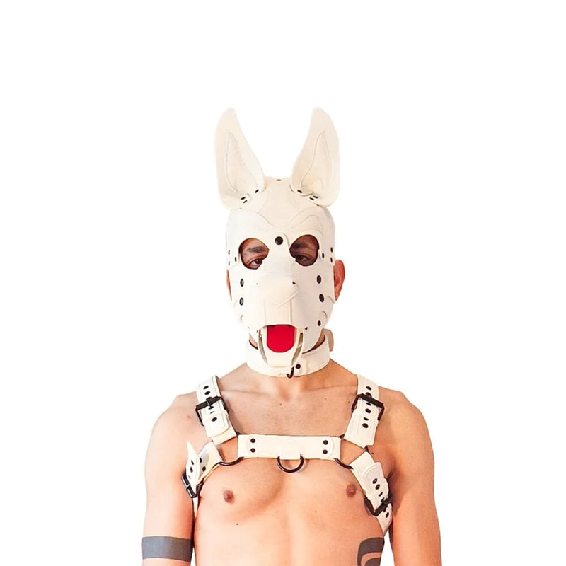 Load image into Gallery viewer, Brutus Pup Hood Vegan Leather White &amp; White
