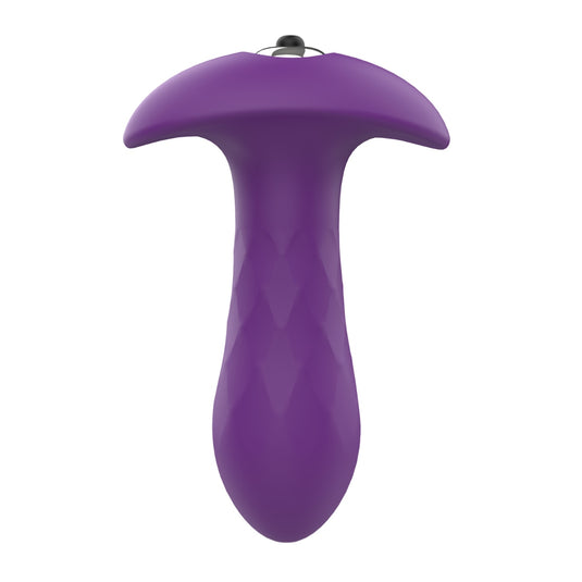 Dreamtoys Pleasure Box Let's Go Anal Sex Toy Kit