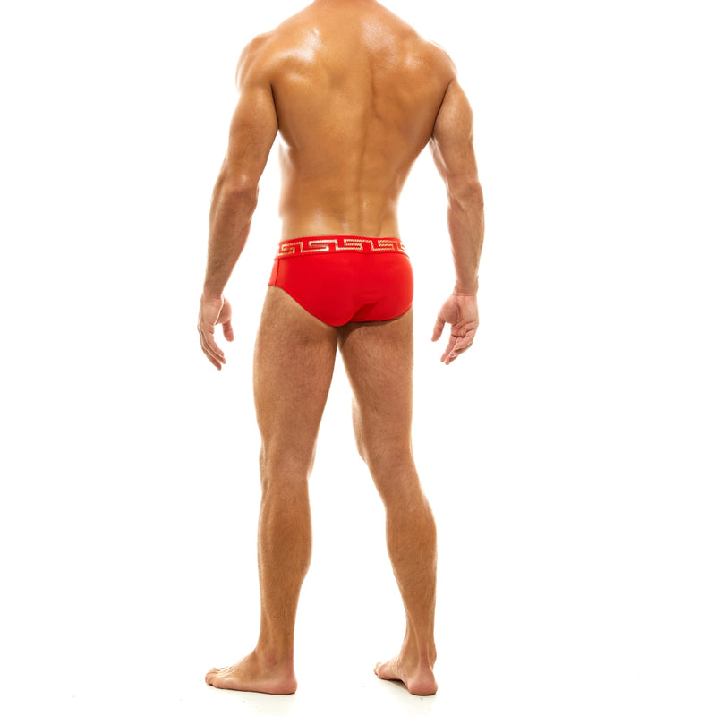 Load image into Gallery viewer, Modus Vivendi Glam Meander Swim Brief Red
