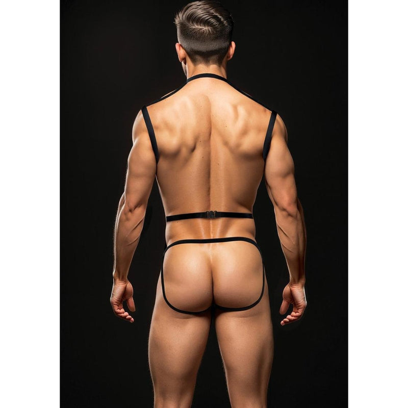 Load image into Gallery viewer, Envy 3 Piece Wet Look Chest Harness Black

