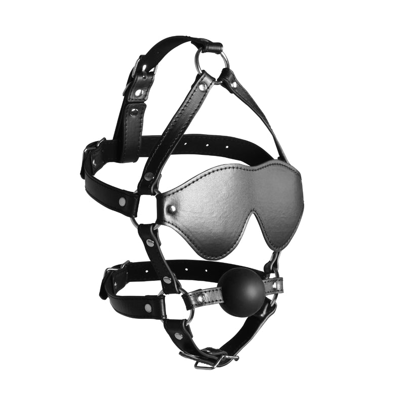 Load image into Gallery viewer, Ouch Xtreme Blindfolded Head Harness With Ball Gag Black
