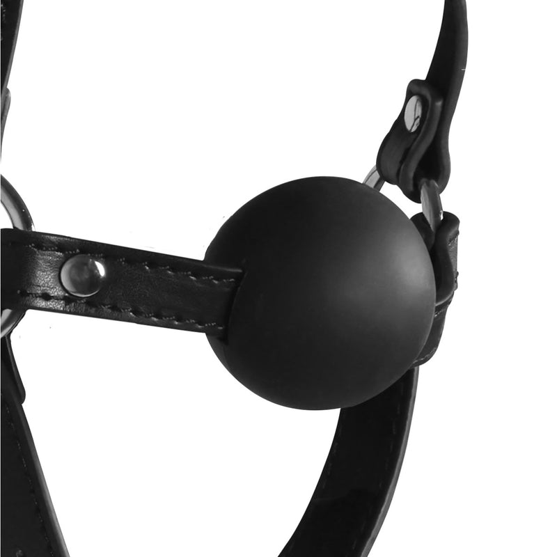 Load image into Gallery viewer, Ouch Xtreme Blindfolded Head Harness With Ball Gag Black
