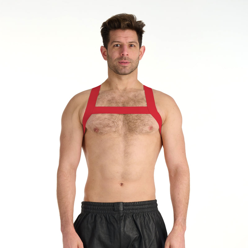 Load image into Gallery viewer, Prowler RED Sports Harness Red
