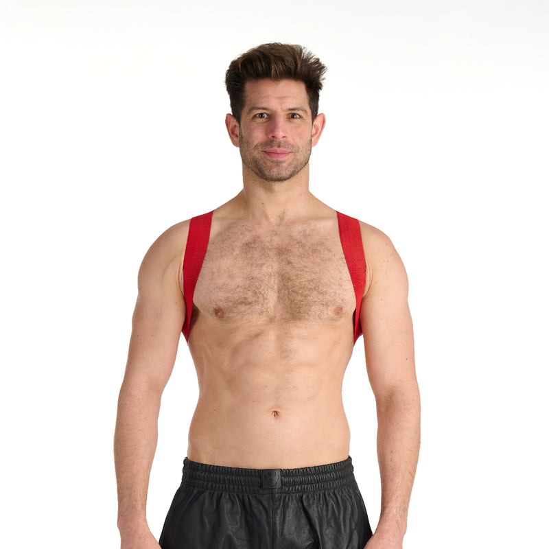 Load image into Gallery viewer, Prowler RED Sports Harness Lite Red
