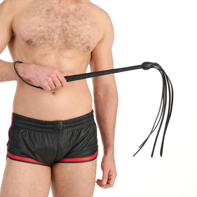 Load image into Gallery viewer, Prowler RED Long Handled Whip Black
