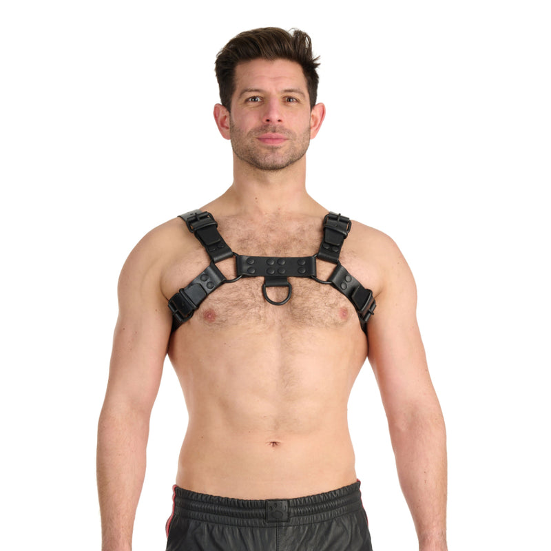 Load image into Gallery viewer, Prowler RED Leather Noir Harness Black
