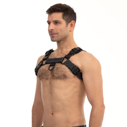 Prowler RED Leather Premium Noir Harness Black