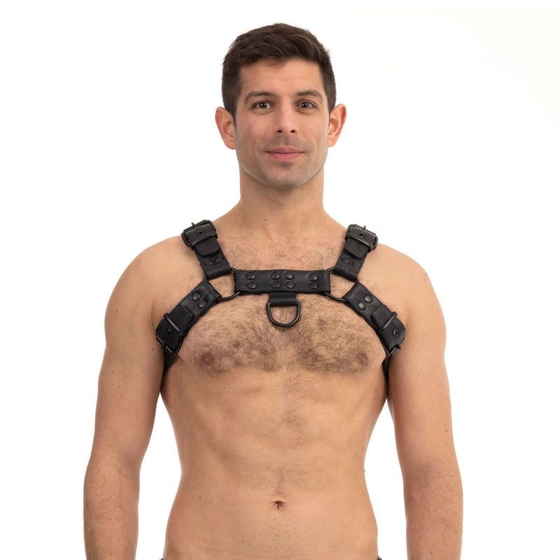 Load image into Gallery viewer, Prowler RED Leather Premium Noir Harness Black
