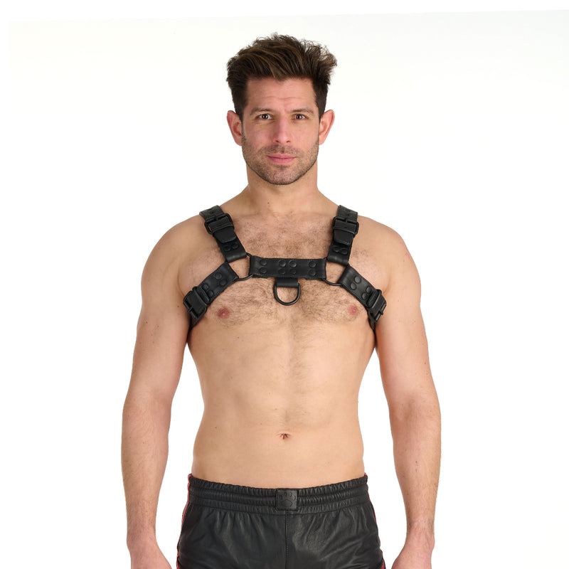 Load image into Gallery viewer, Prowler RED Leather Premium Noir Harness Black
