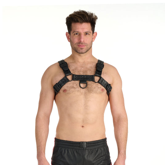Prowler RED Leather Premium Noir Harness Black