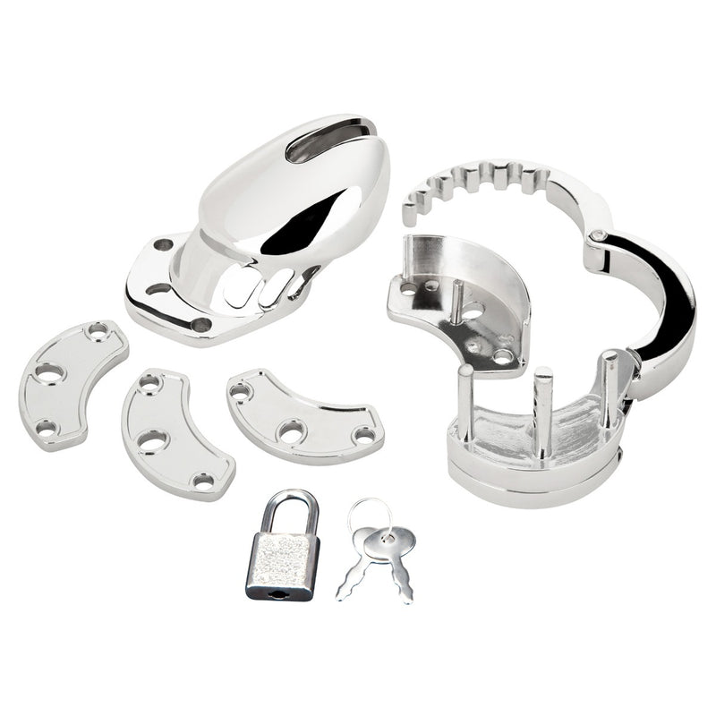Load image into Gallery viewer, Blue Line Cock Humiliation Chastity Cage Silver Small 2.75 Inch
