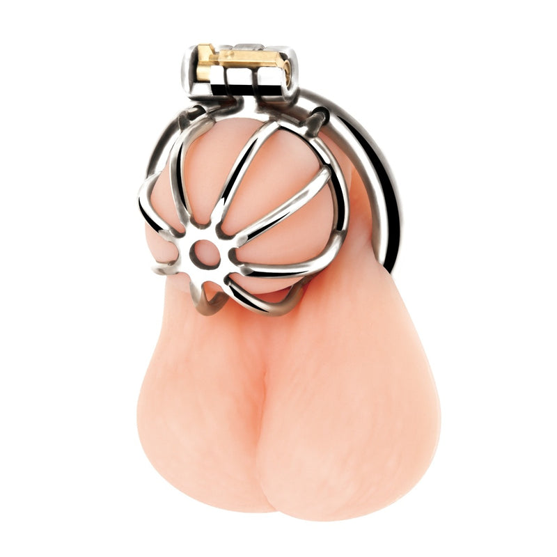 Load image into Gallery viewer, Blue Line Little Cock Chastity Cage Silver
