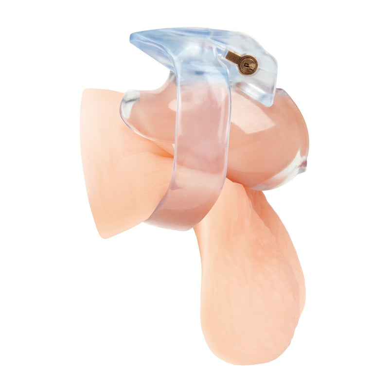 Load image into Gallery viewer, Blue Line Small Dick Acrylic Mini Chastity Cage Clear
