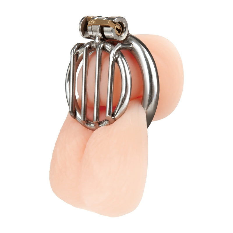Load image into Gallery viewer, Blue Line Stainless Steel Inverted Micro Jail Time Chastity Cage Silver
