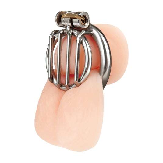 Blue Line Stainless Steel Inverted Micro Jail Time Chastity Cage Silver