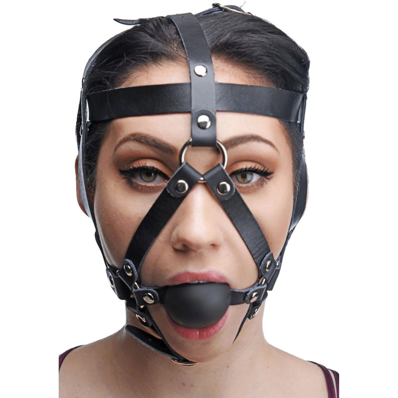 Load image into Gallery viewer, Master Series Leather Head Harness With Ball Gag Black
