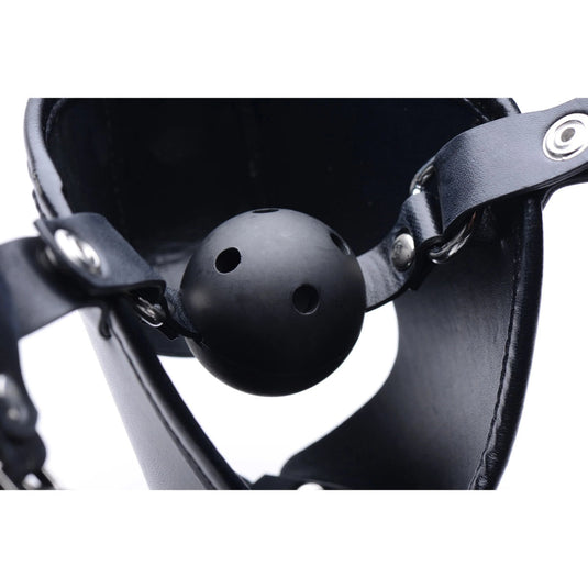 Master Series Pup Puppy Play Hood And Breathable Ball Gag Black