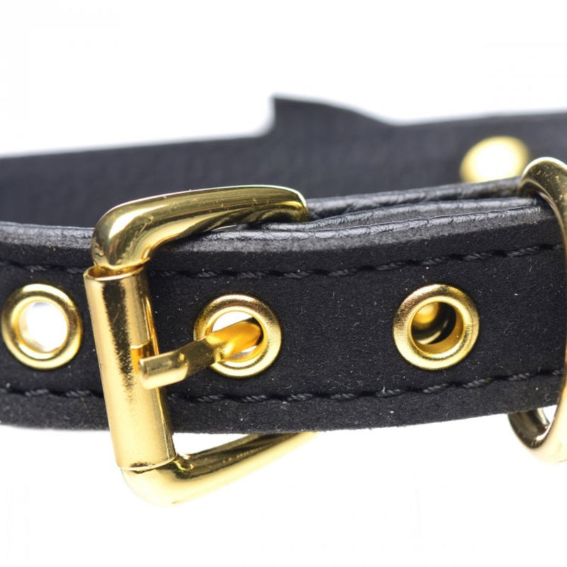 Load image into Gallery viewer, Master Series Golden Kitty Cat Bell Collar Black Gold
