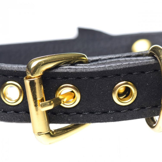 Master Series Golden Kitty Cat Bell Collar Black Gold