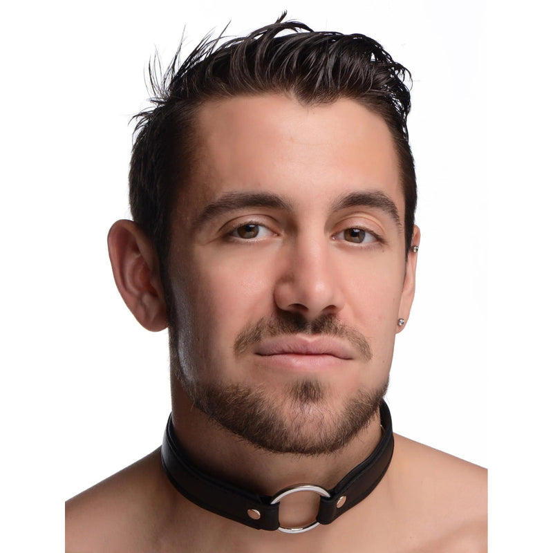 Load image into Gallery viewer, Strict O-Ring Collar Black Silver
