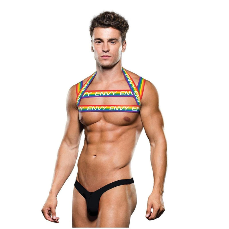 Load image into Gallery viewer, Envy Rainbow Chest Harness
