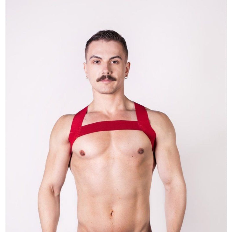 Load image into Gallery viewer, Prowler RED Sports Harness Red
