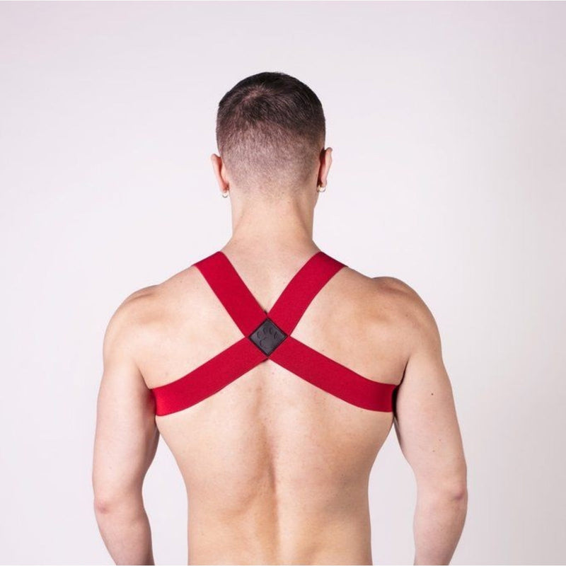 Load image into Gallery viewer, Prowler RED Sports Harness Red
