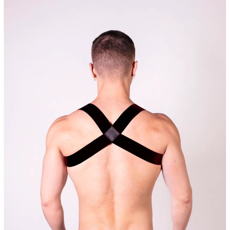 Load image into Gallery viewer, Prowler RED Sports Harness Lite Black
