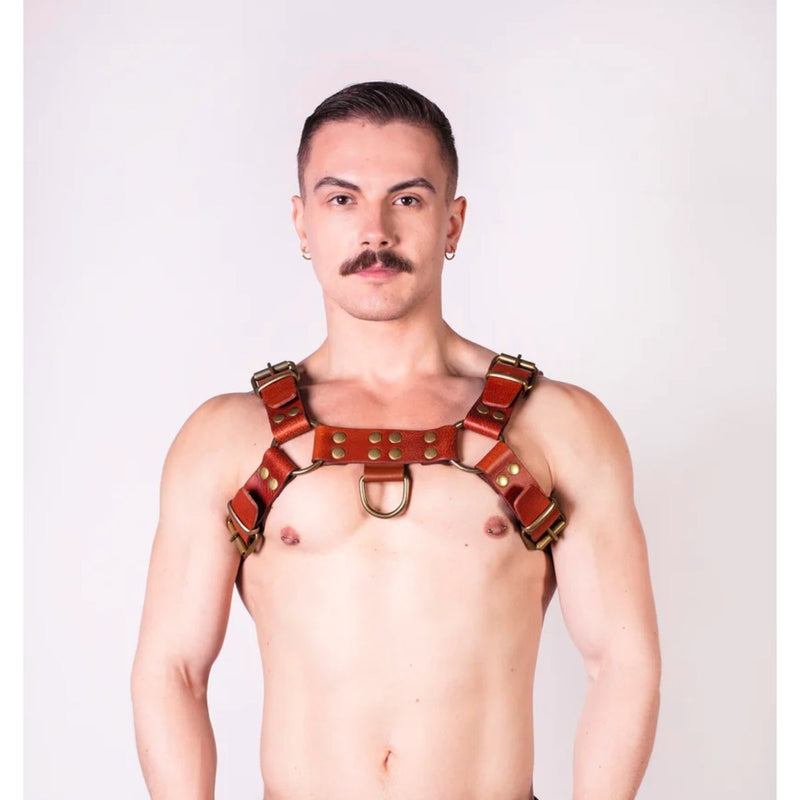 Load image into Gallery viewer, Prowler RED Leather Butch Harness Brown
