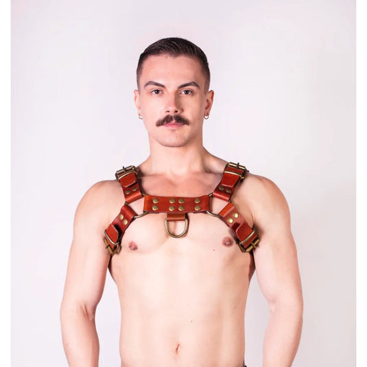 Prowler RED Leather Butch Harness Brown